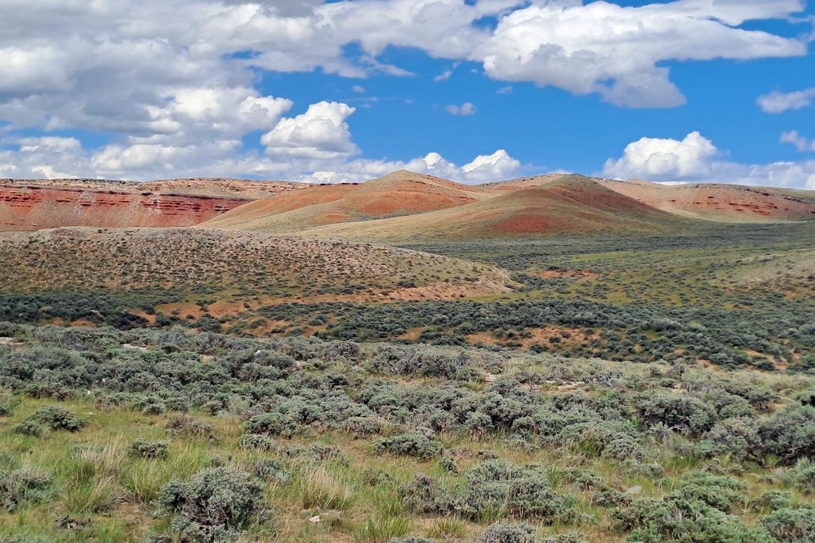 26 06 01 carbon county 04