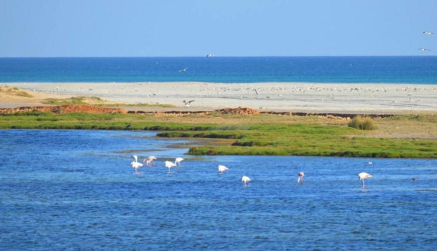 Dahariz beach oman beautiful salalah 1 1024x536