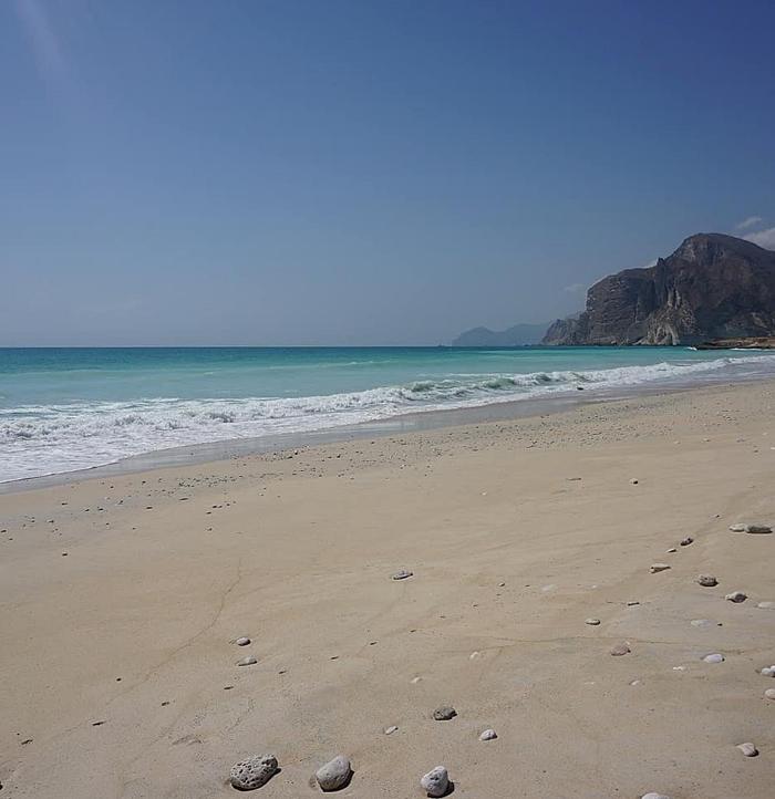 Img 20190201 001133 096